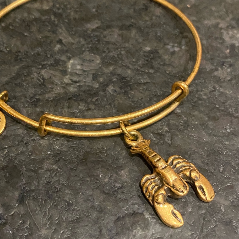 Alex & Ani (r) Lobster
